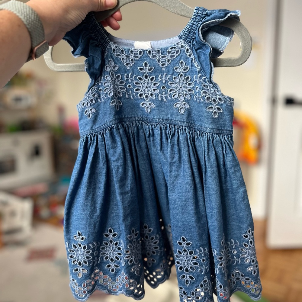 GAP Blue Chambray Dress with Floral Details (6-12 mo)